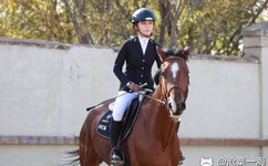 我的丑娘大结局